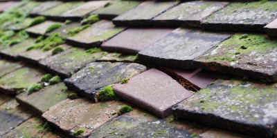 Wapley roof repair costs